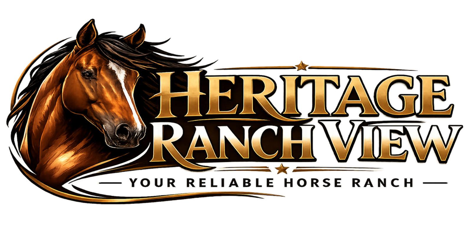 Equine | Buy-Tacks | Horses For Sale